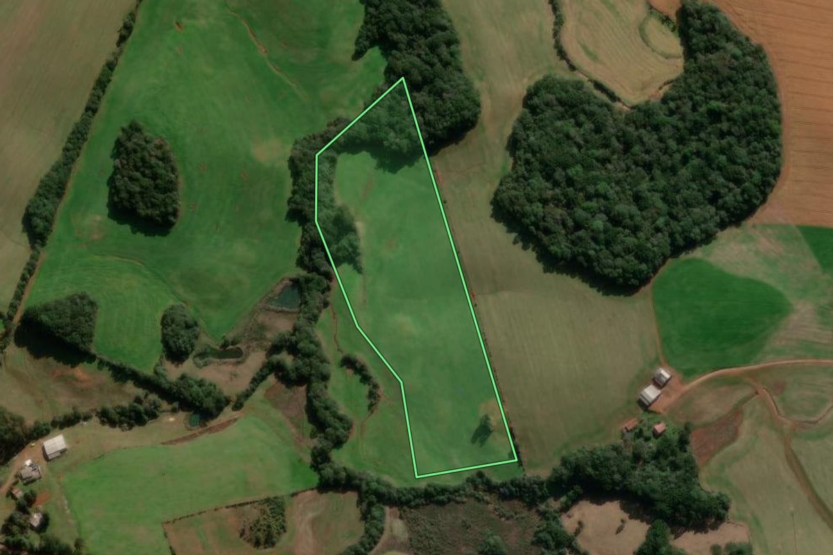 Imagem de satélite do imóvel rural em Caseiros (RS), com o contorno declarado no CAR desenhado por cima.