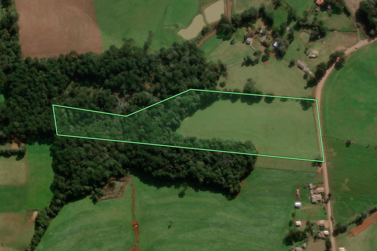Imagem de satélite do imóvel rural em Caseiros (RS), com o contorno declarado no CAR desenhado por cima.