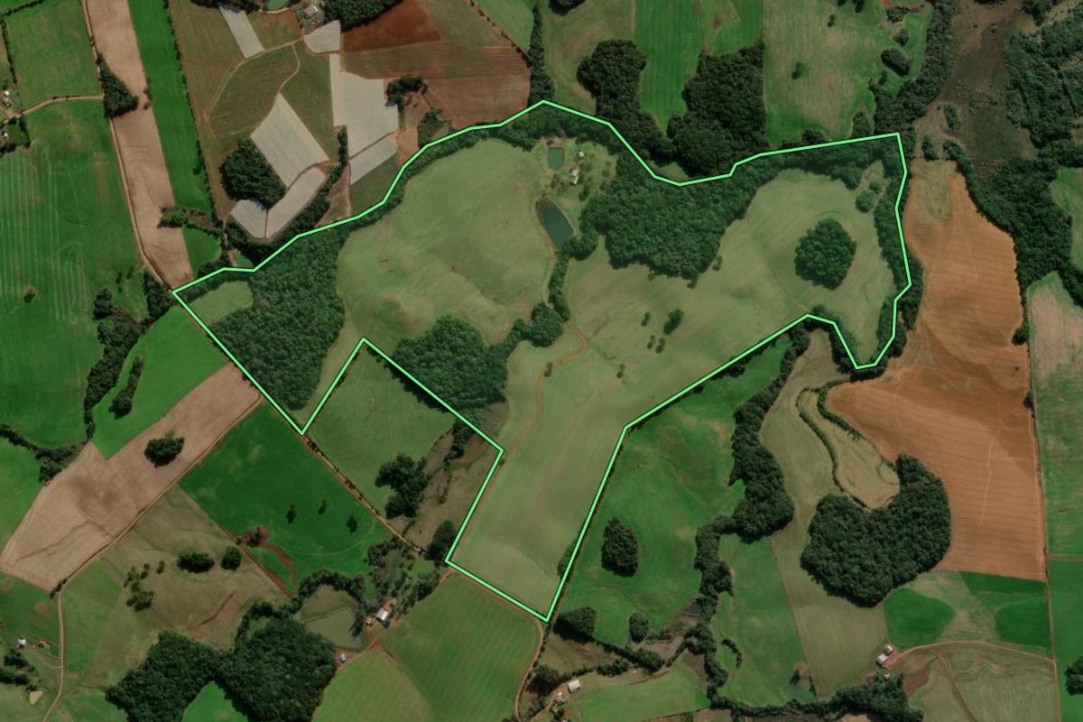 Imagem de satélite do imóvel rural em Caseiros (RS), com o contorno declarado no CAR desenhado por cima.
