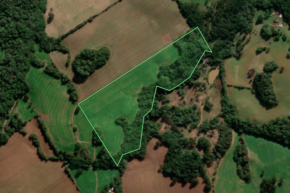Imagem de satélite do imóvel rural em Caseiros (RS), com o contorno declarado no CAR desenhado por cima.