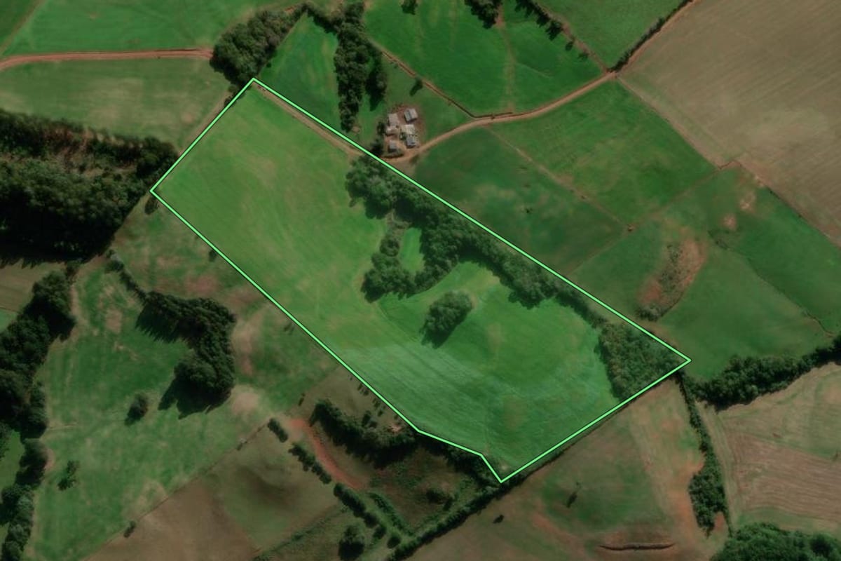 Imagem de satélite do imóvel rural em Caseiros (RS), com o contorno declarado no CAR desenhado por cima.