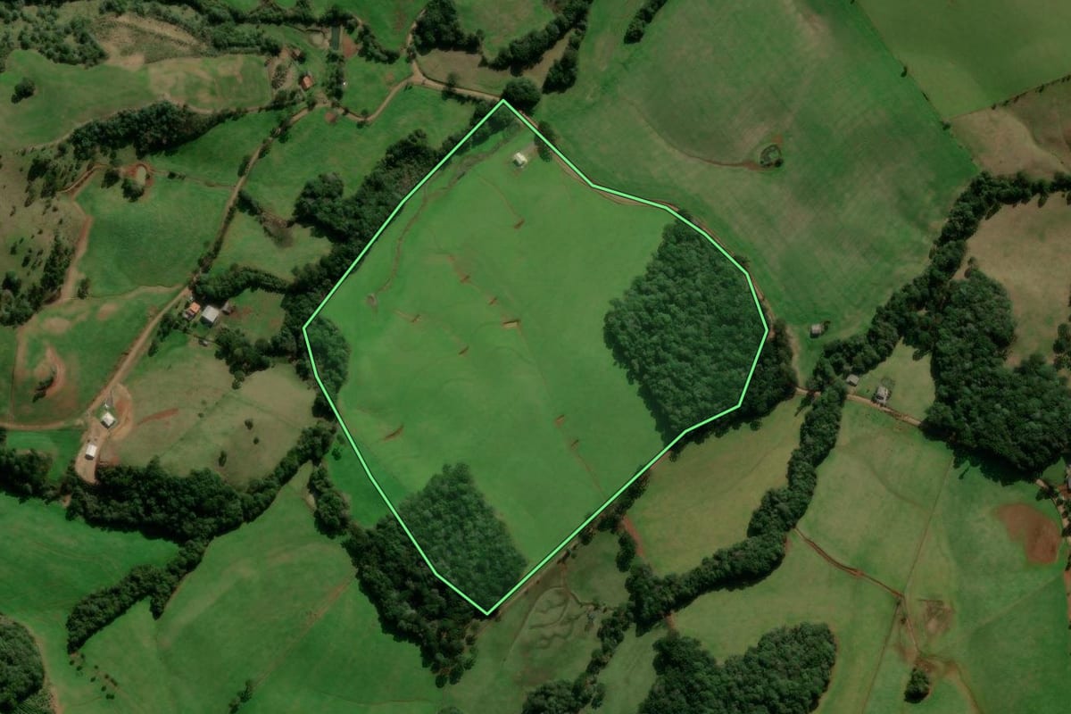 Imagem de satélite do imóvel rural em Caseiros (RS), com o contorno declarado no CAR desenhado por cima.