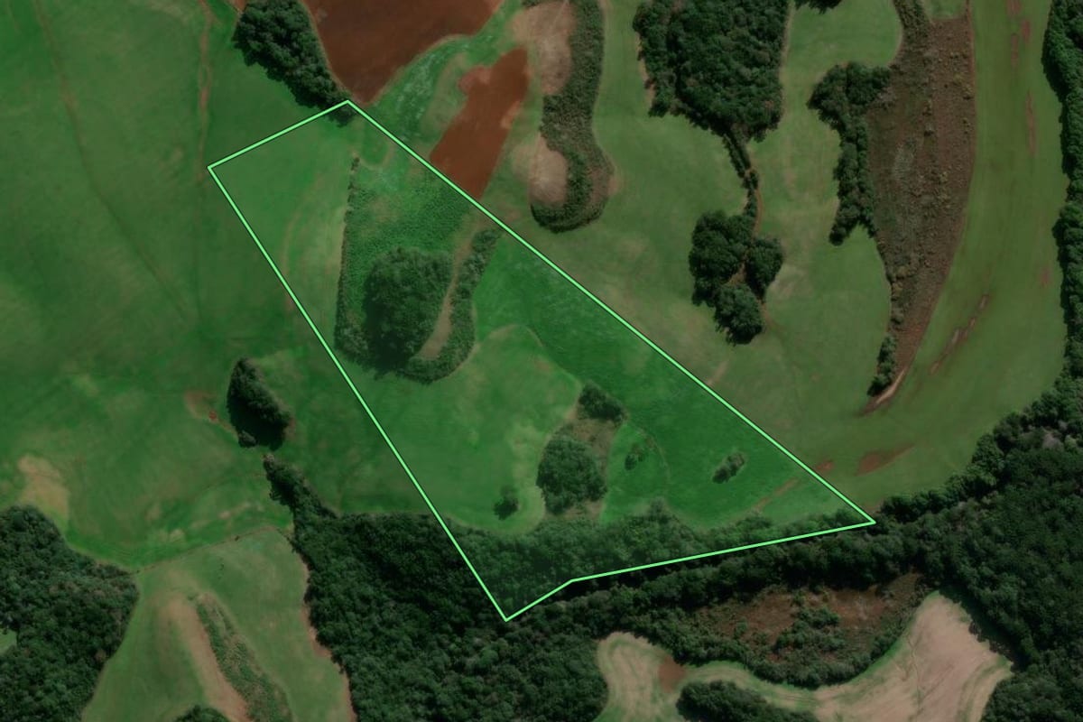 Imagem de satélite do imóvel rural em Caseiros (RS), com o contorno declarado no CAR desenhado por cima.