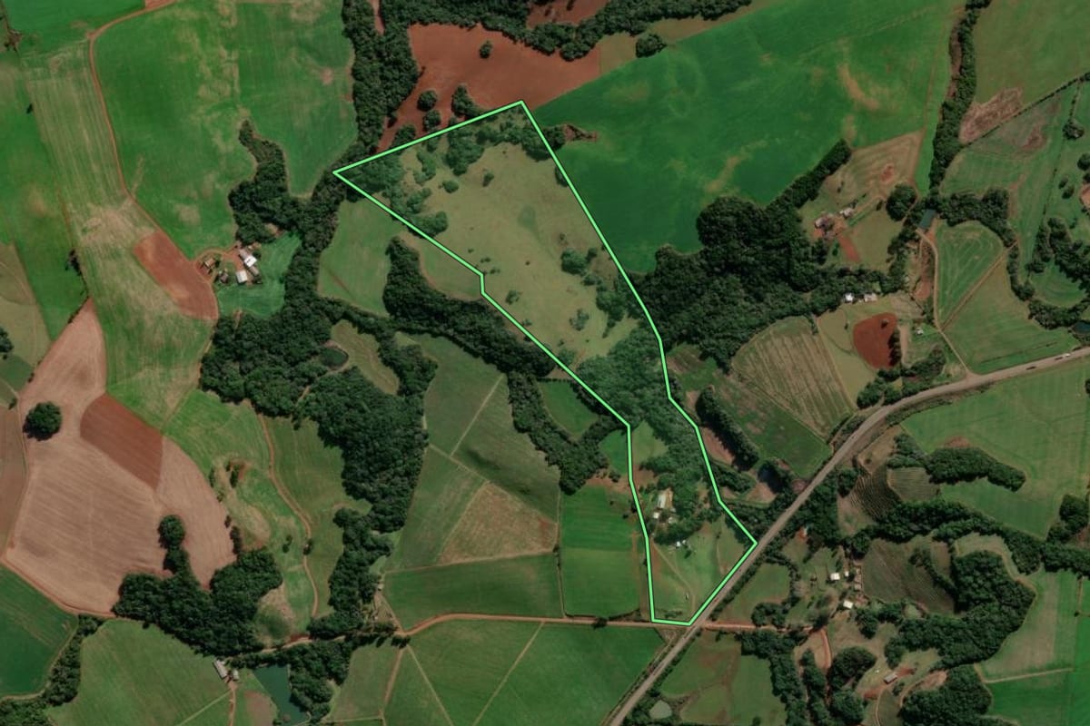 Imagem de satélite do imóvel rural em Caseiros (RS), com o contorno declarado no CAR desenhado por cima.