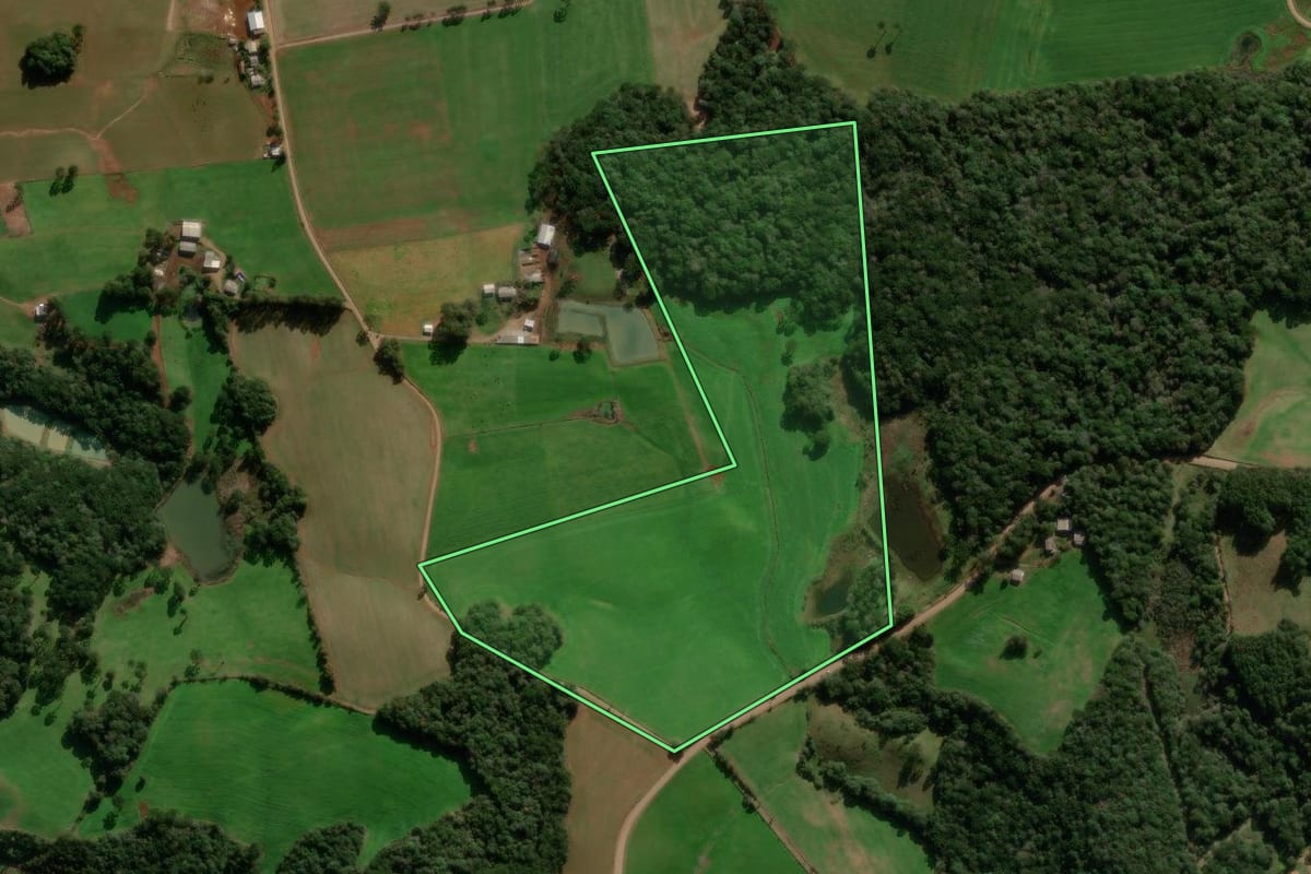 Imagem de satélite do imóvel rural em Caseiros (RS), com o contorno declarado no CAR desenhado por cima.