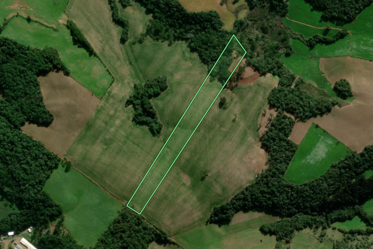 Imagem de satélite do imóvel rural em Caseiros (RS), com o contorno declarado no CAR desenhado por cima.