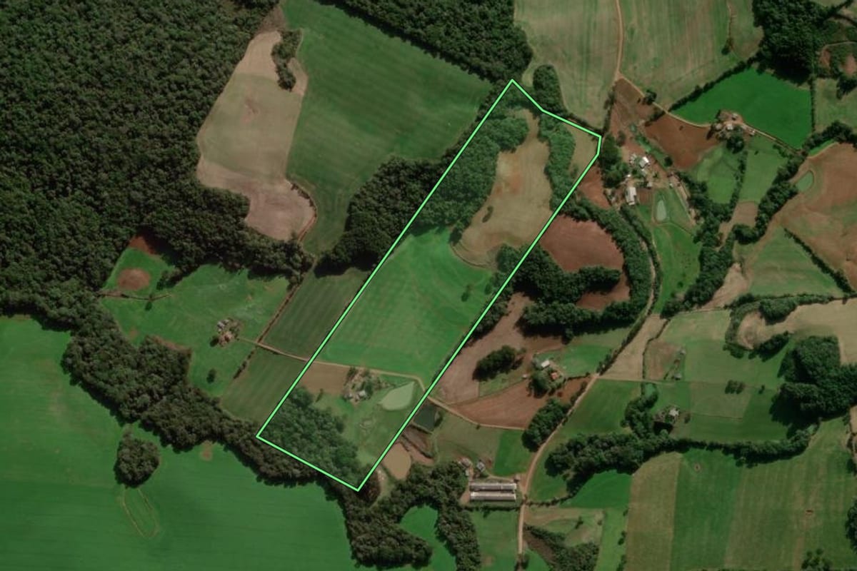 Imagem de satélite do imóvel rural em Caseiros (RS), com o contorno declarado no CAR desenhado por cima.