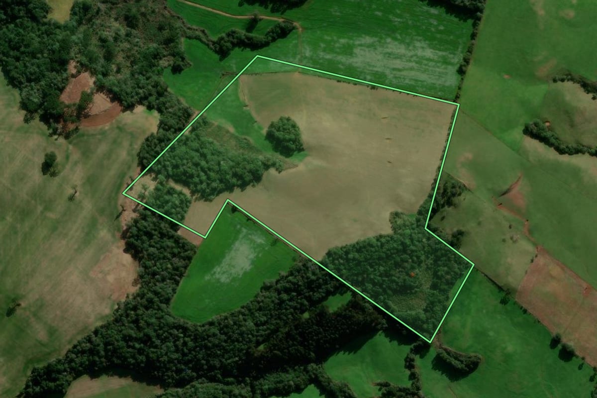 Imagem de satélite do imóvel rural em Caseiros (RS), com o contorno declarado no CAR desenhado por cima.