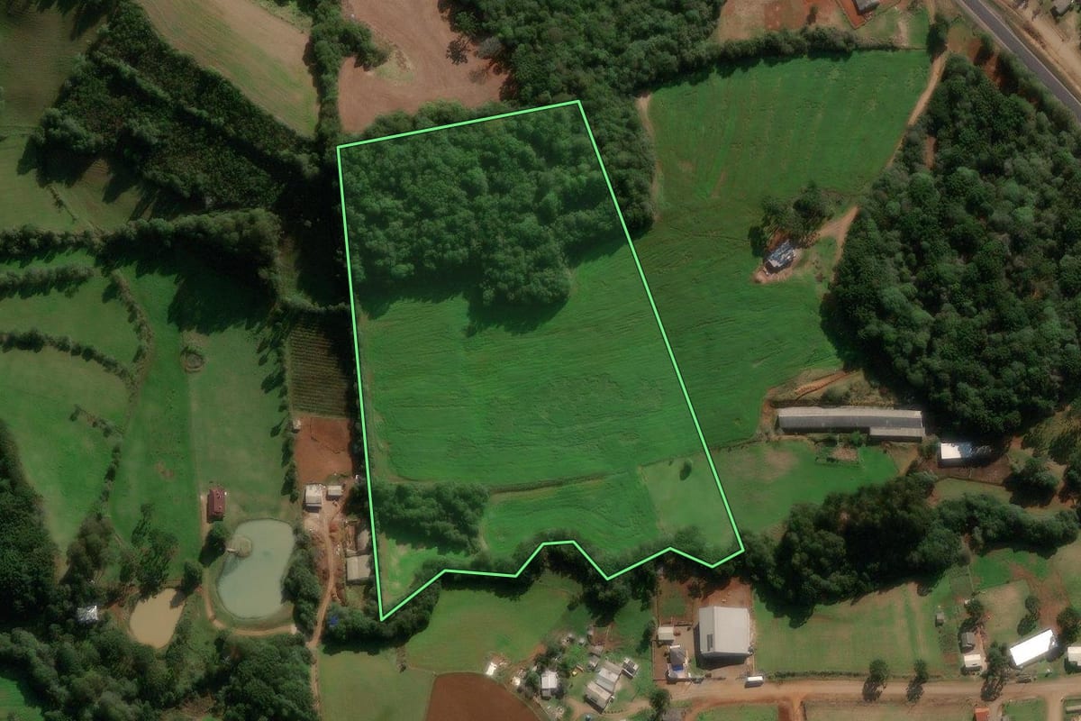 Imagem de satélite do imóvel rural em Caseiros (RS), com o contorno declarado no CAR desenhado por cima.
