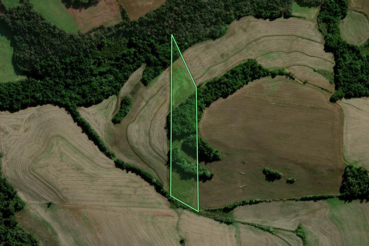 Imagem de satélite do imóvel rural em Catuípe (RS), com o contorno declarado no CAR desenhado por cima.