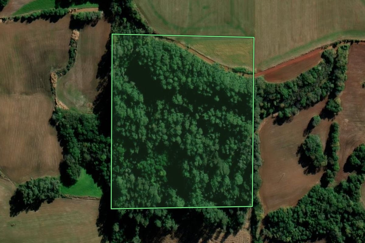 Imagem de satélite do imóvel rural em Catuípe (RS), com o contorno declarado no CAR desenhado por cima.