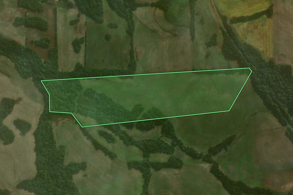 Imagem de satélite do imóvel rural em Catuípe (RS), com o contorno declarado no CAR desenhado por cima.