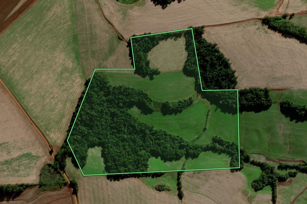 Imagem de satélite do imóvel rural em Catuípe (RS), com o contorno declarado no CAR desenhado por cima.