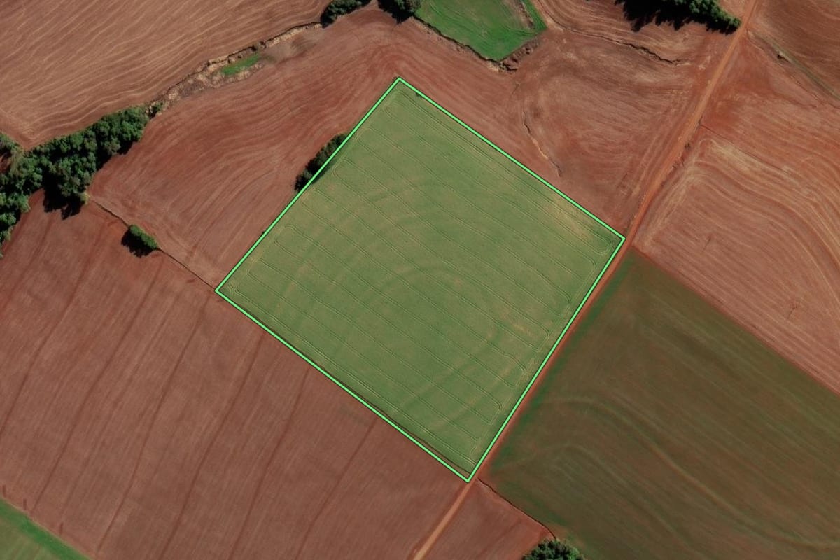 Imagem de satélite do imóvel rural em Catuípe (RS), com o contorno declarado no CAR desenhado por cima.