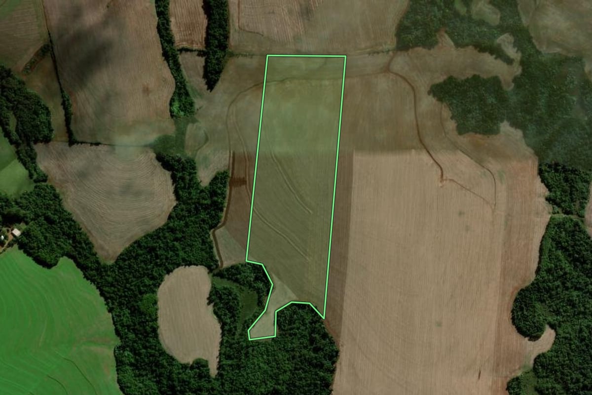 Imagem de satélite do imóvel rural em Catuípe (RS), com o contorno declarado no CAR desenhado por cima.
