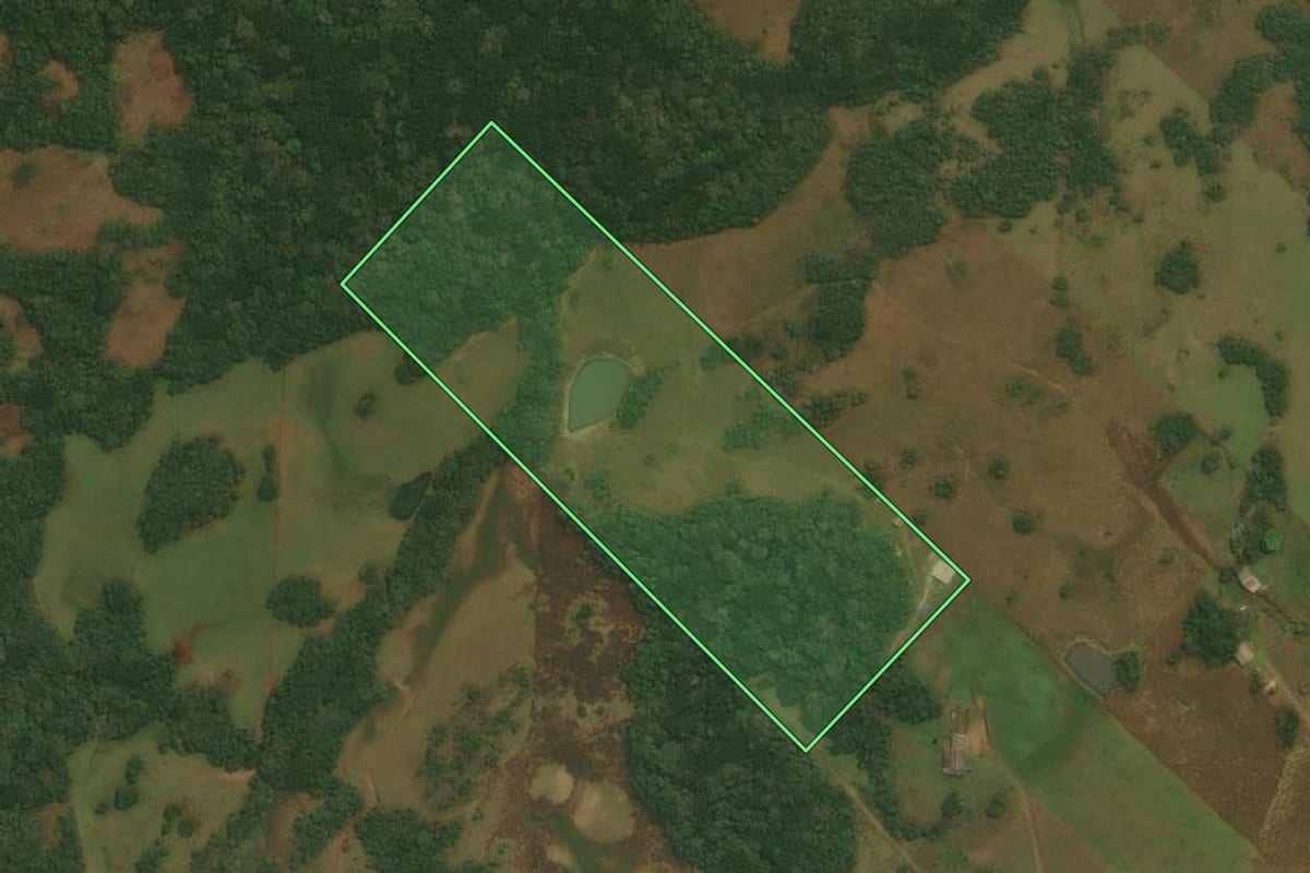 Imagem de satélite do imóvel rural em Caxias do Sul (RS), com o contorno declarado no CAR desenhado por cima.