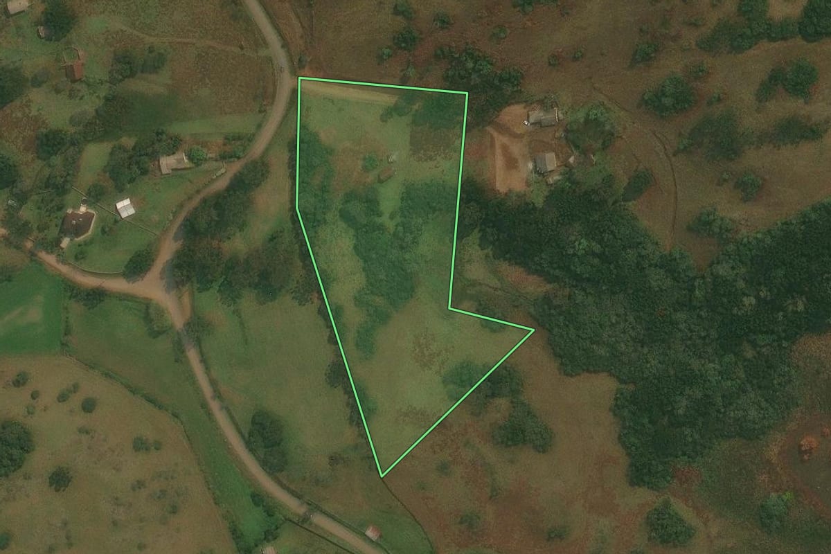 Imagem de satélite do imóvel rural em Caxias do Sul (RS), com o contorno declarado no CAR desenhado por cima.