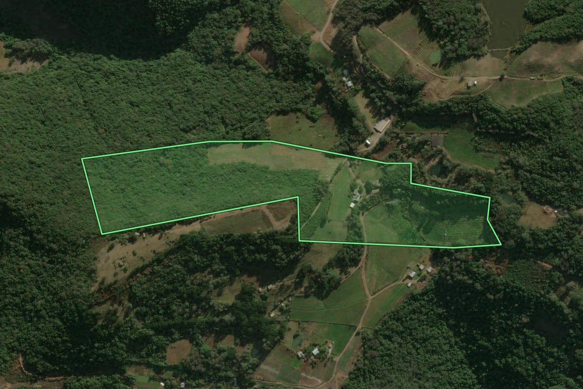 Imagem de satélite do imóvel rural em Caxias do Sul (RS), com o contorno declarado no CAR desenhado por cima.