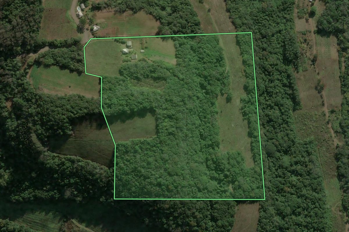 Imagem de satélite do imóvel rural em Caxias do Sul (RS), com o contorno declarado no CAR desenhado por cima.