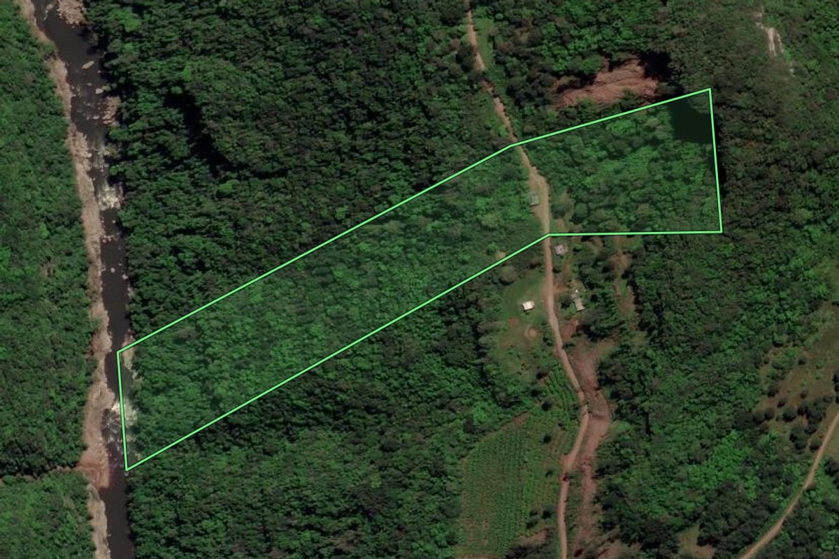 Imagem de satélite do imóvel rural em Caxias do Sul (RS), com o contorno declarado no CAR desenhado por cima.