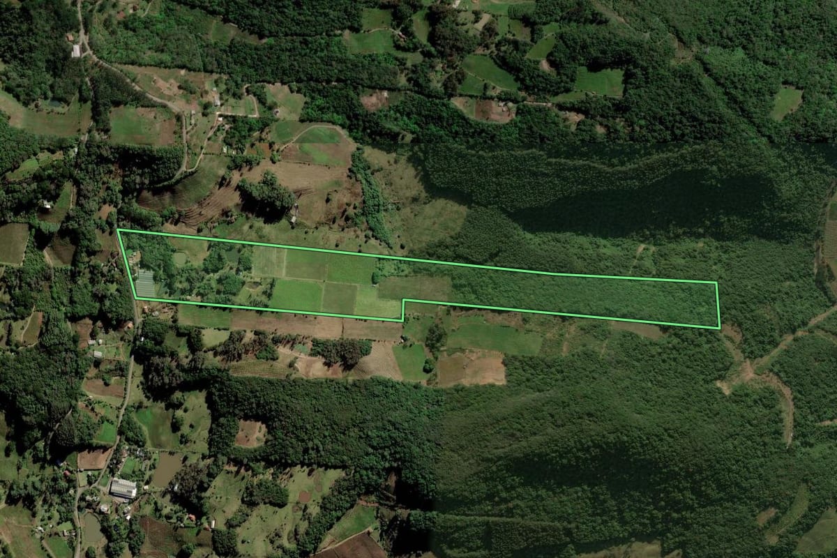 Imagem de satélite do imóvel rural em Caxias do Sul (RS), com o contorno declarado no CAR desenhado por cima.
