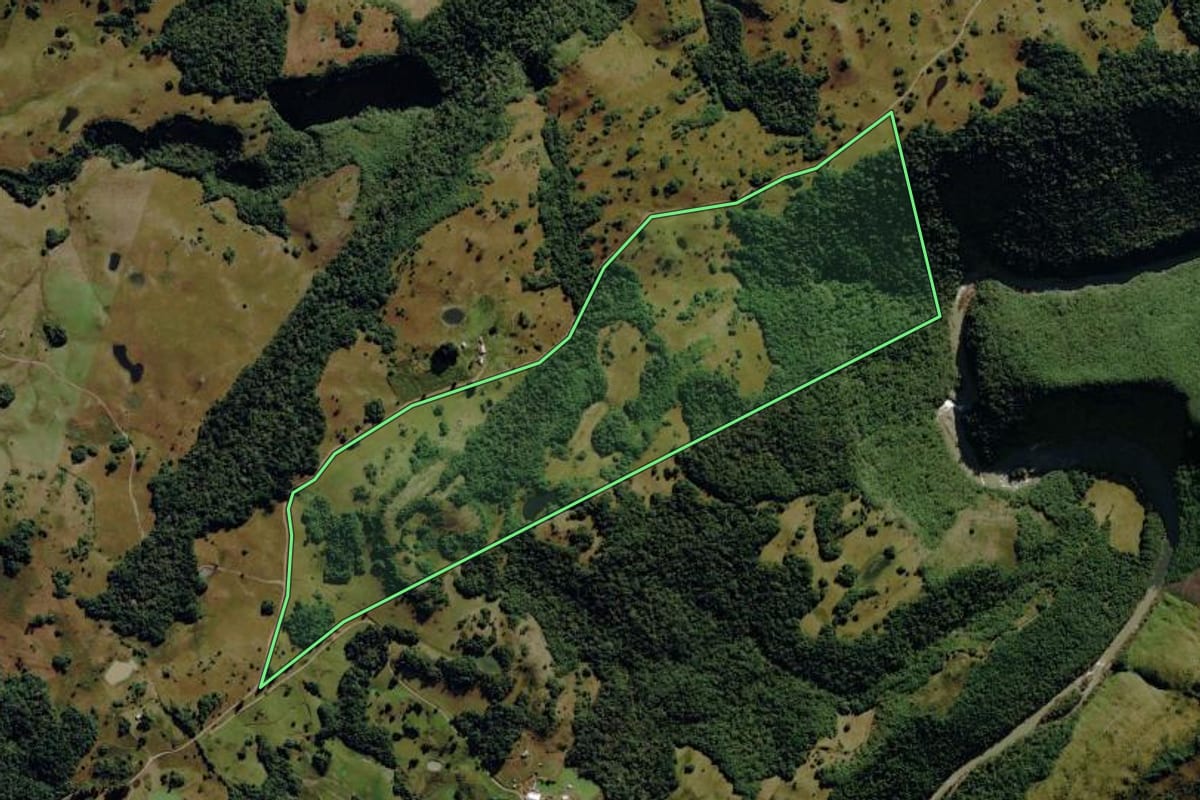 Imagem de satélite do imóvel rural em Caxias do Sul (RS), com o contorno declarado no CAR desenhado por cima.