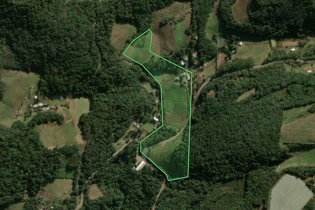 Imagem de satélite do imóvel rural em Caxias do Sul (RS), com o contorno declarado no CAR desenhado por cima.