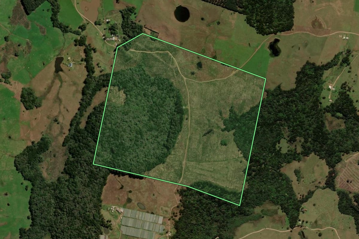 Imagem de satélite do imóvel rural em Caxias do Sul (RS), com o contorno declarado no CAR desenhado por cima.