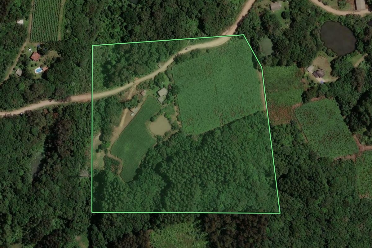 Imagem de satélite do imóvel rural em Caxias do Sul (RS), com o contorno declarado no CAR desenhado por cima.