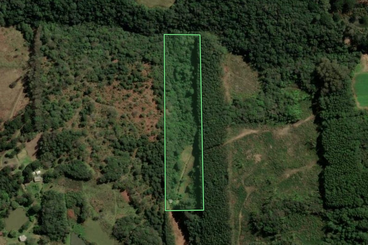 Imagem de satélite do imóvel rural em Caxias do Sul (RS), com o contorno declarado no CAR desenhado por cima.