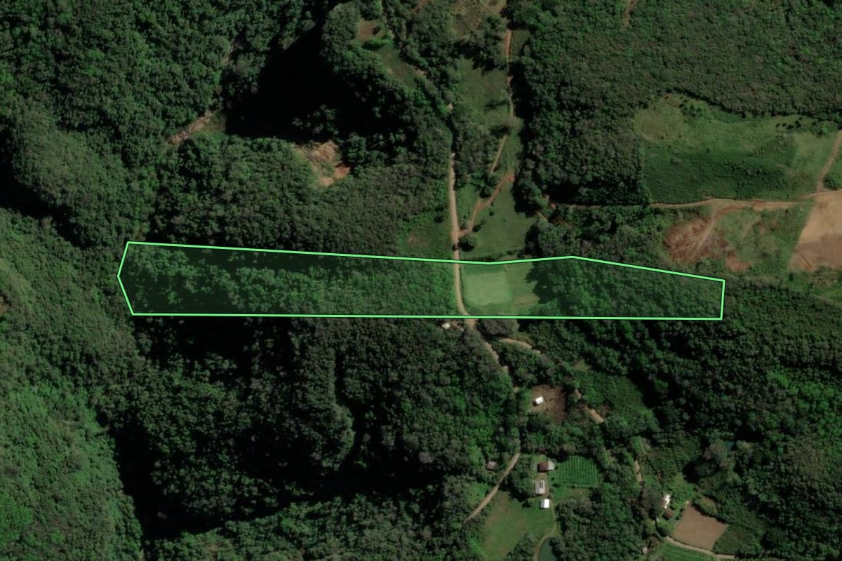 Imagem de satélite do imóvel rural em Caxias do Sul (RS), com o contorno declarado no CAR desenhado por cima.