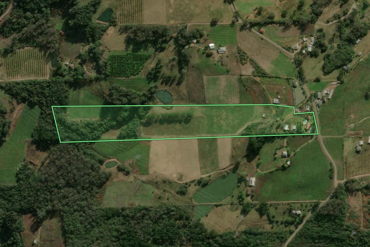 Imagem de satélite do imóvel rural em Caxias do Sul (RS), com o contorno declarado no CAR desenhado por cima.