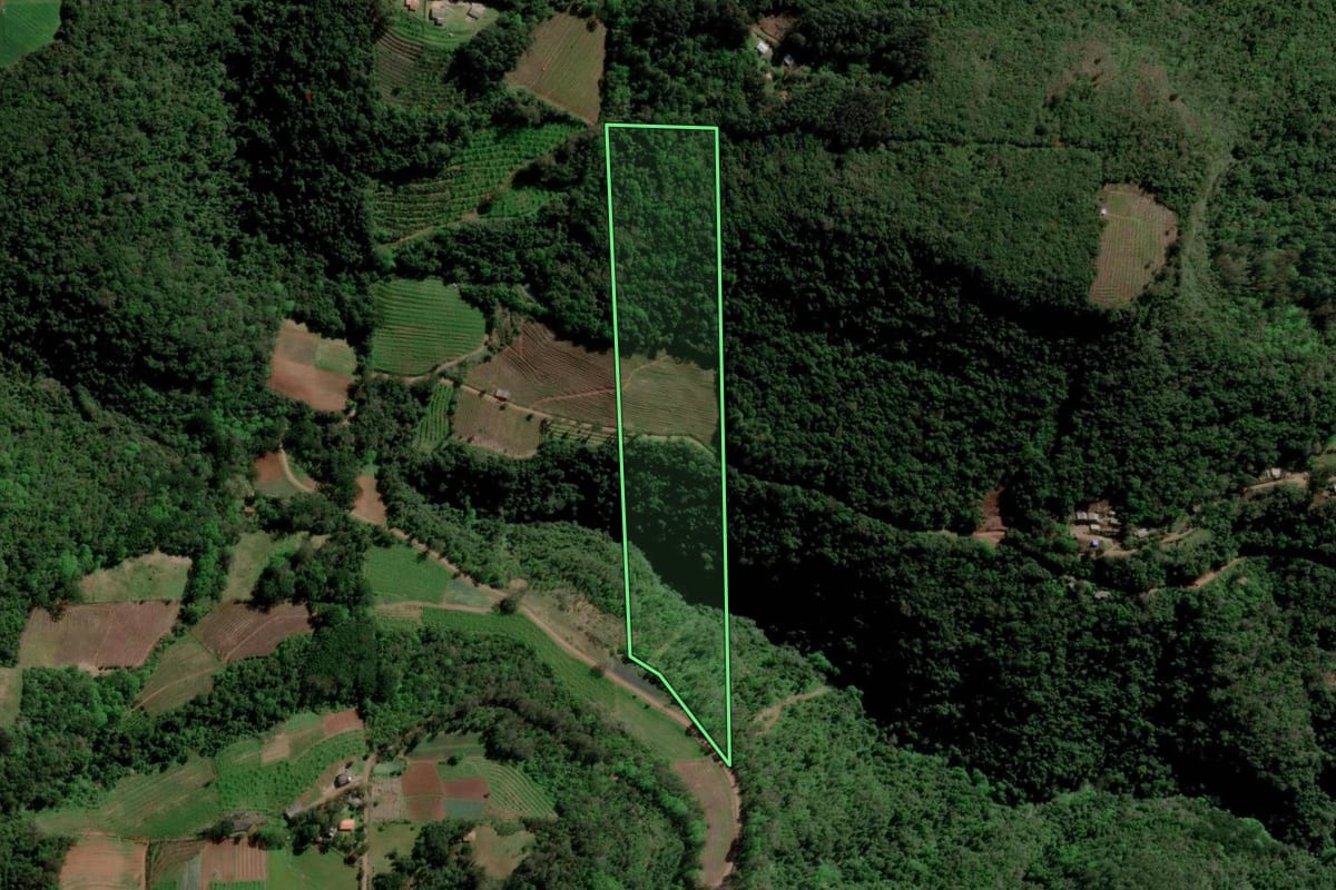 Imagem de satélite do imóvel rural em Caxias do Sul (RS), com o contorno declarado no CAR desenhado por cima.