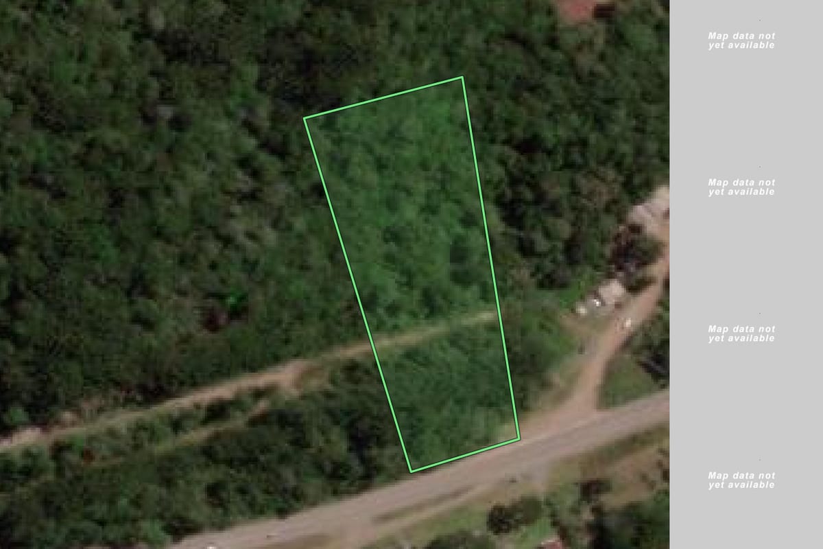 Imagem de satélite do imóvel rural em Caxias do Sul (RS), com o contorno declarado no CAR desenhado por cima.