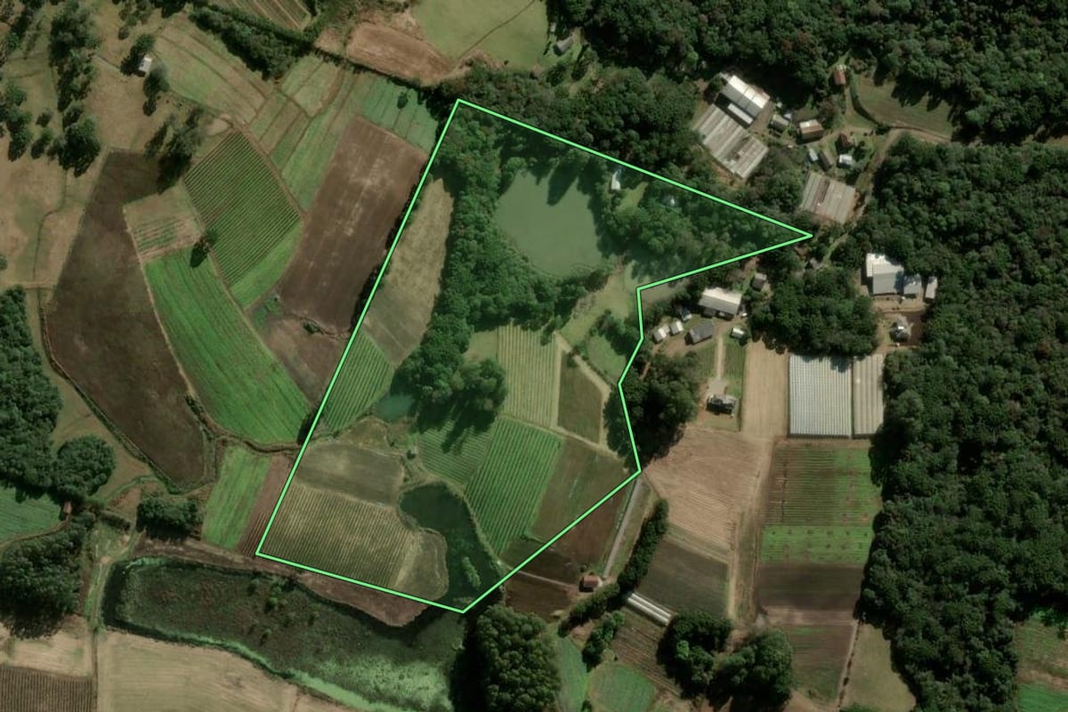 Imagem de satélite do imóvel rural em Caxias do Sul (RS), com o contorno declarado no CAR desenhado por cima.
