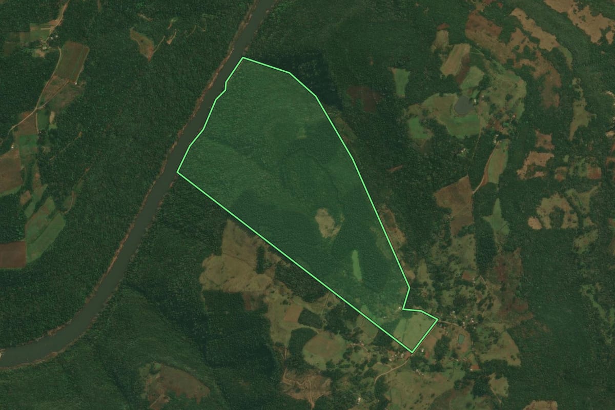 Imagem de satélite do imóvel rural em Caxias do Sul (RS), com o contorno declarado no CAR desenhado por cima.