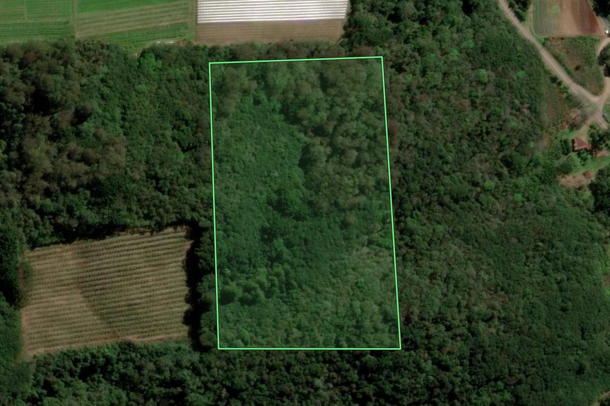 Imagem de satélite do imóvel rural em Caxias do Sul (RS), com o contorno declarado no CAR desenhado por cima.