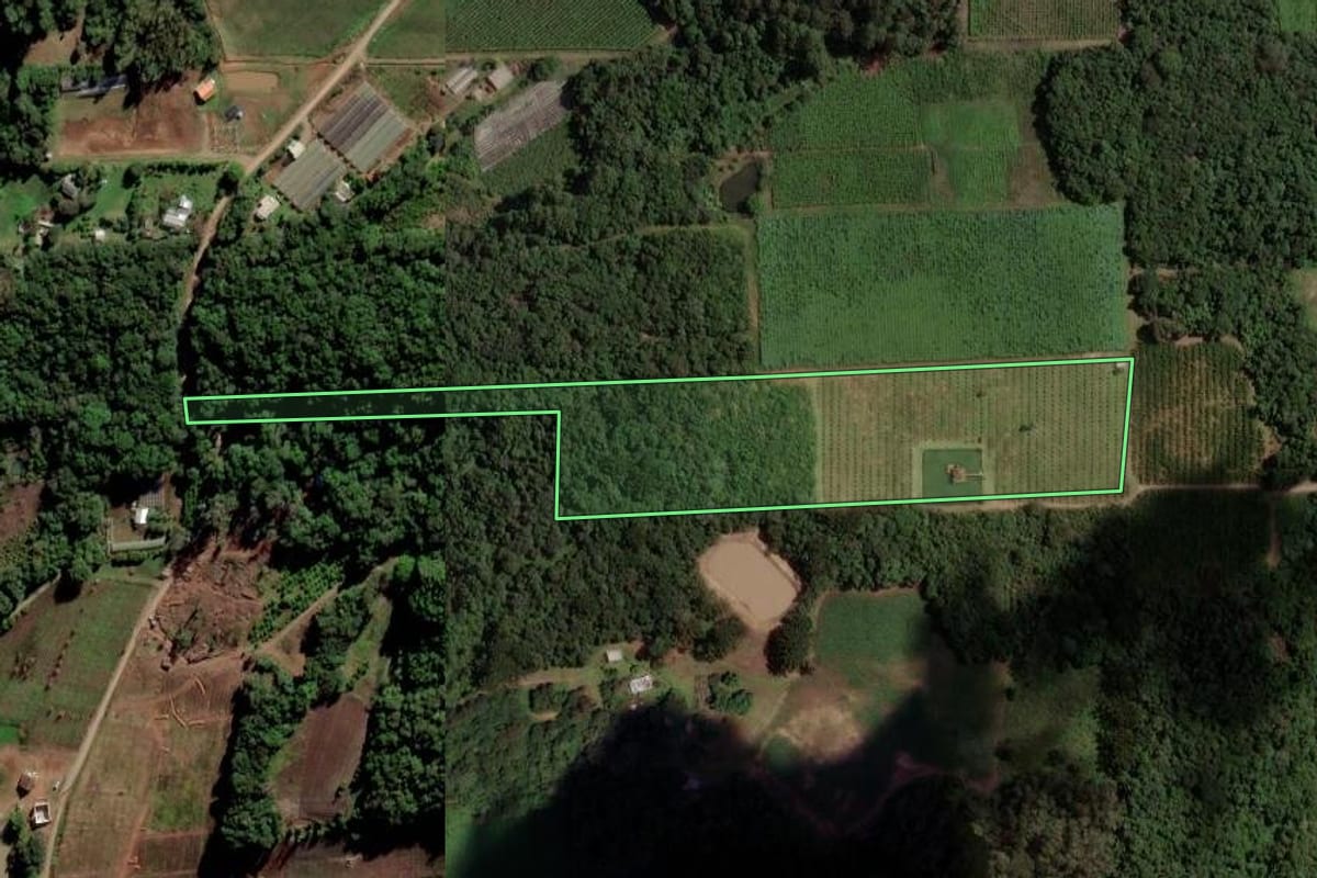 Imagem de satélite do imóvel rural em Caxias do Sul (RS), com o contorno declarado no CAR desenhado por cima.