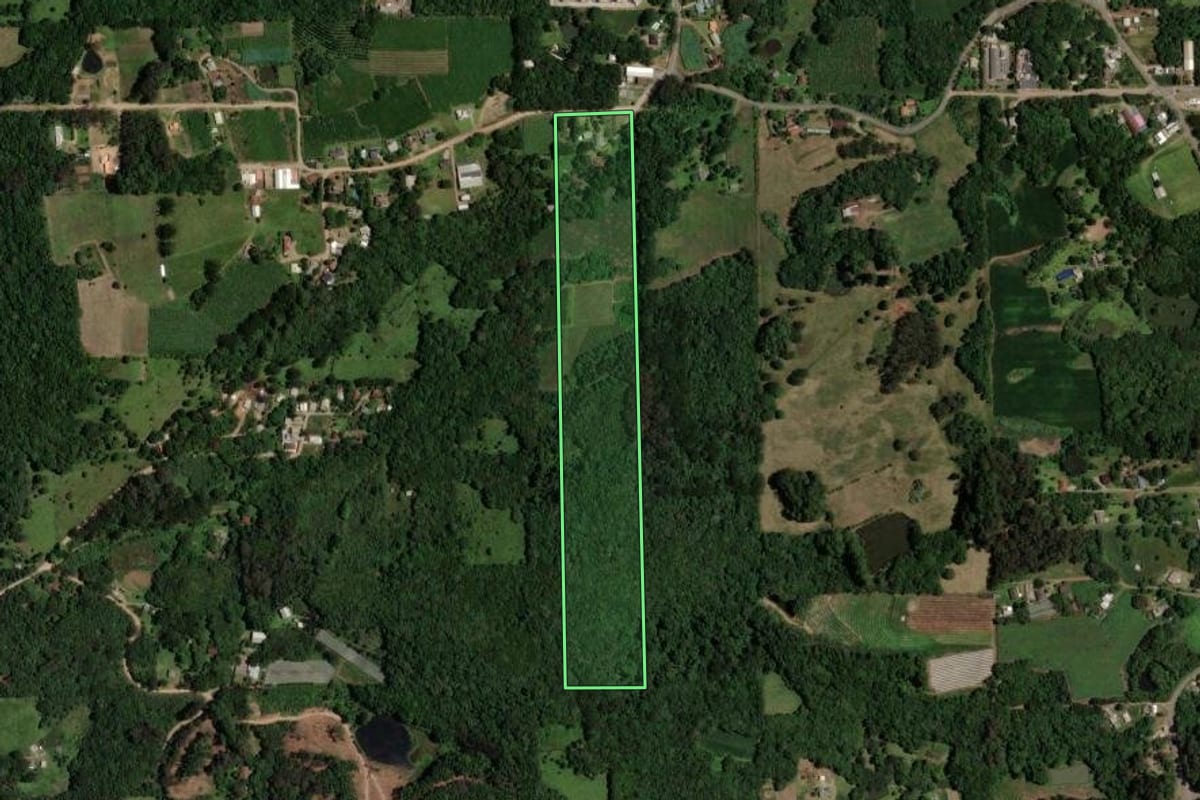 Imagem de satélite do imóvel rural em Caxias do Sul (RS), com o contorno declarado no CAR desenhado por cima.
