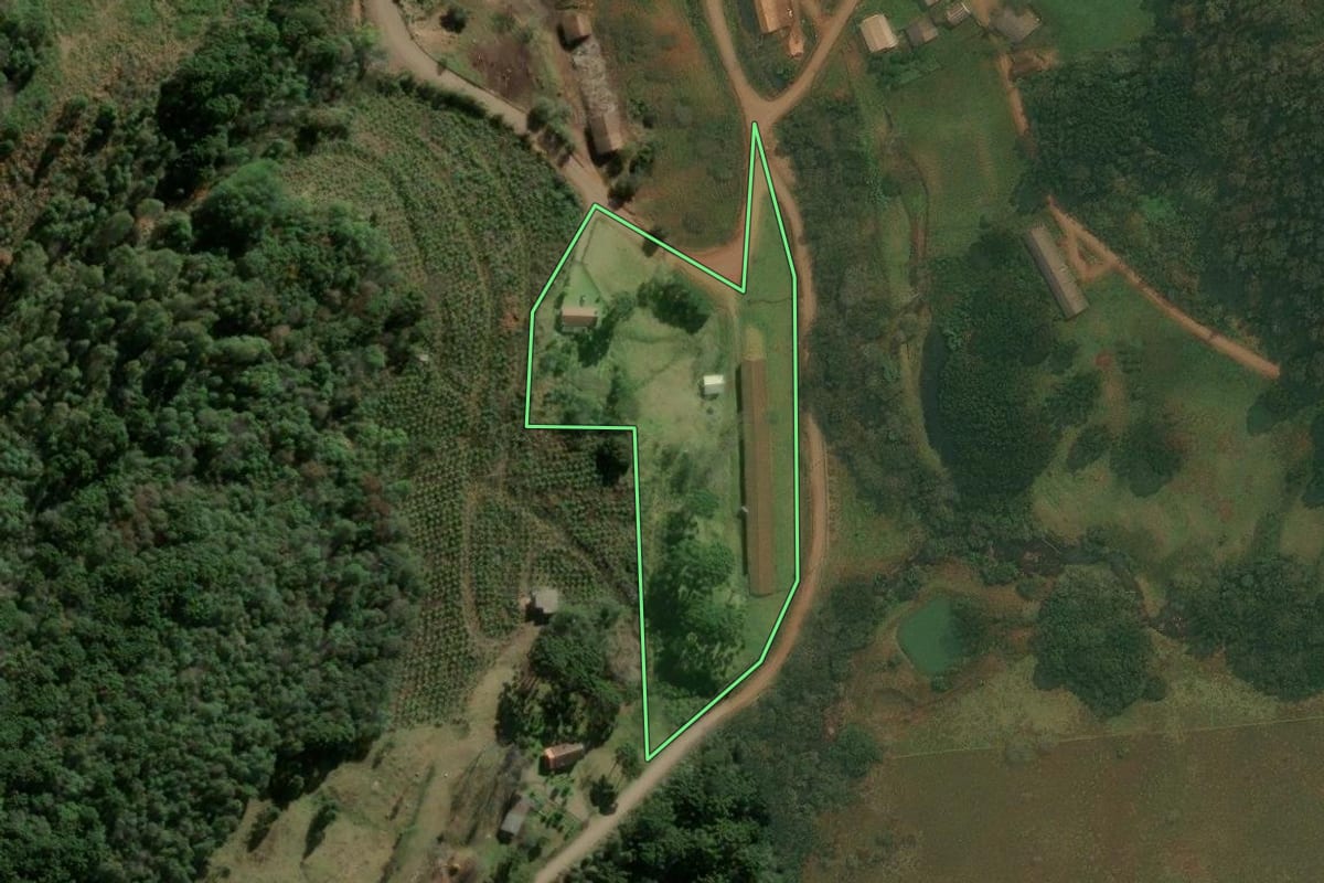 Imagem de satélite do imóvel rural em Caxias do Sul (RS), com o contorno declarado no CAR desenhado por cima.