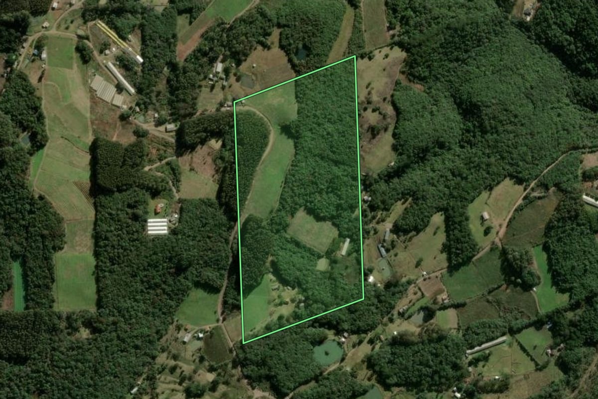 Imagem de satélite do imóvel rural em Caxias do Sul (RS), com o contorno declarado no CAR desenhado por cima.