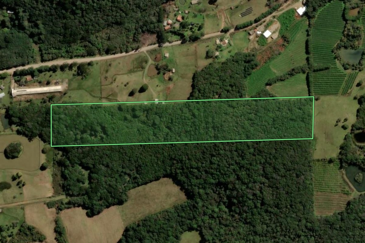 Imagem de satélite do imóvel rural em Caxias do Sul (RS), com o contorno declarado no CAR desenhado por cima.