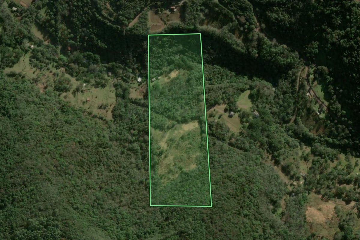 Imagem de satélite do imóvel rural em Caxias do Sul (RS), com o contorno declarado no CAR desenhado por cima.