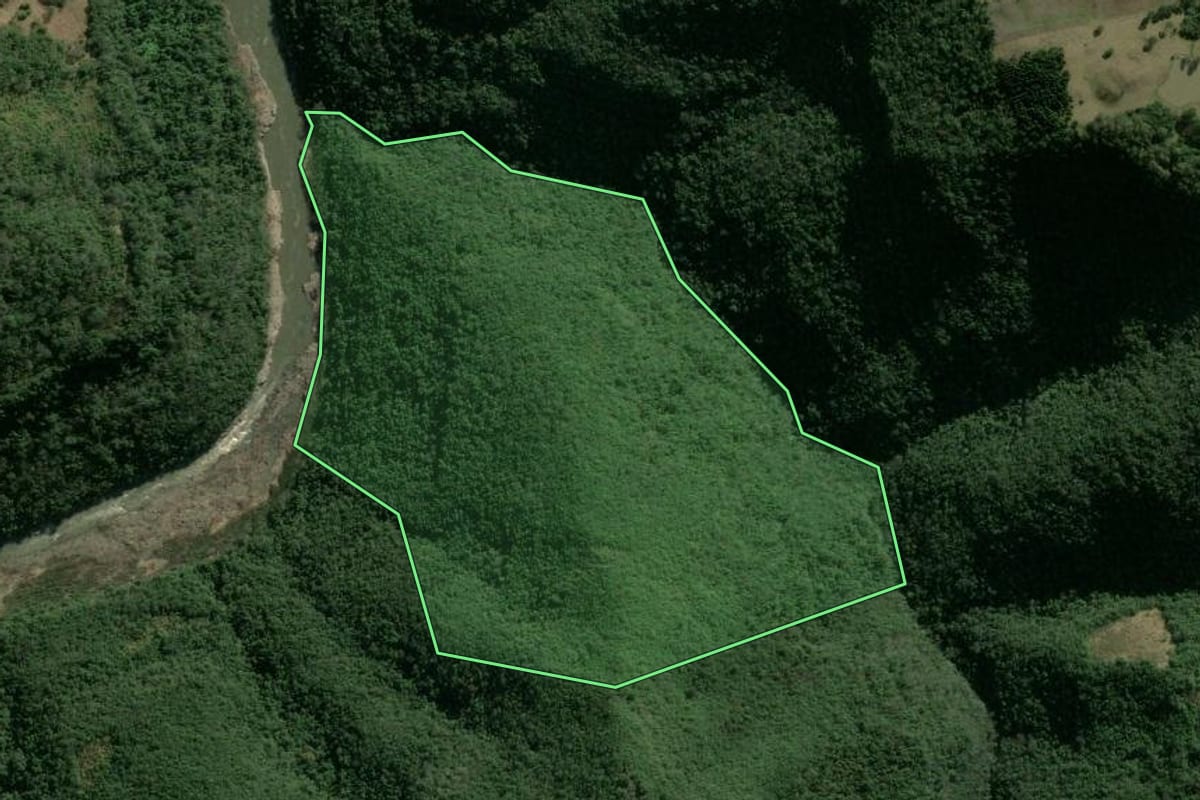 Imagem de satélite do imóvel rural em Caxias do Sul (RS), com o contorno declarado no CAR desenhado por cima.