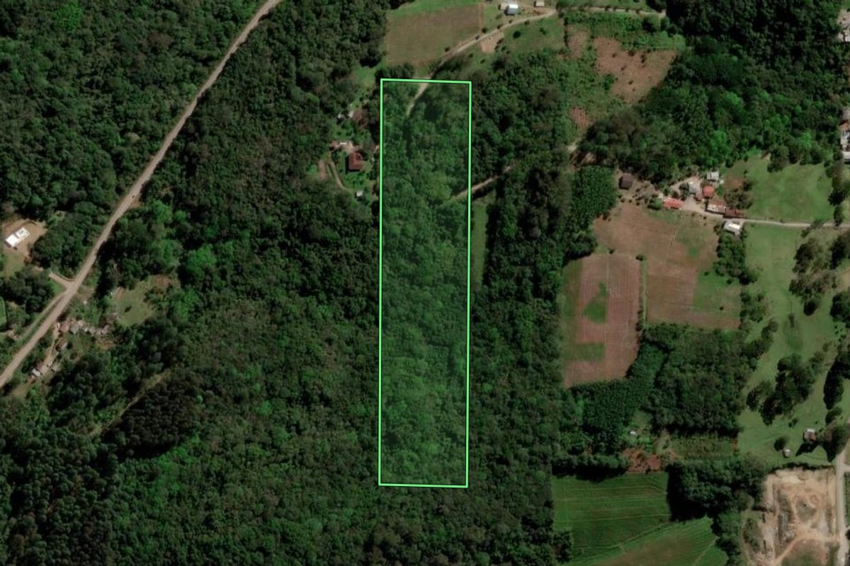 Imagem de satélite do imóvel rural em Caxias do Sul (RS), com o contorno declarado no CAR desenhado por cima.