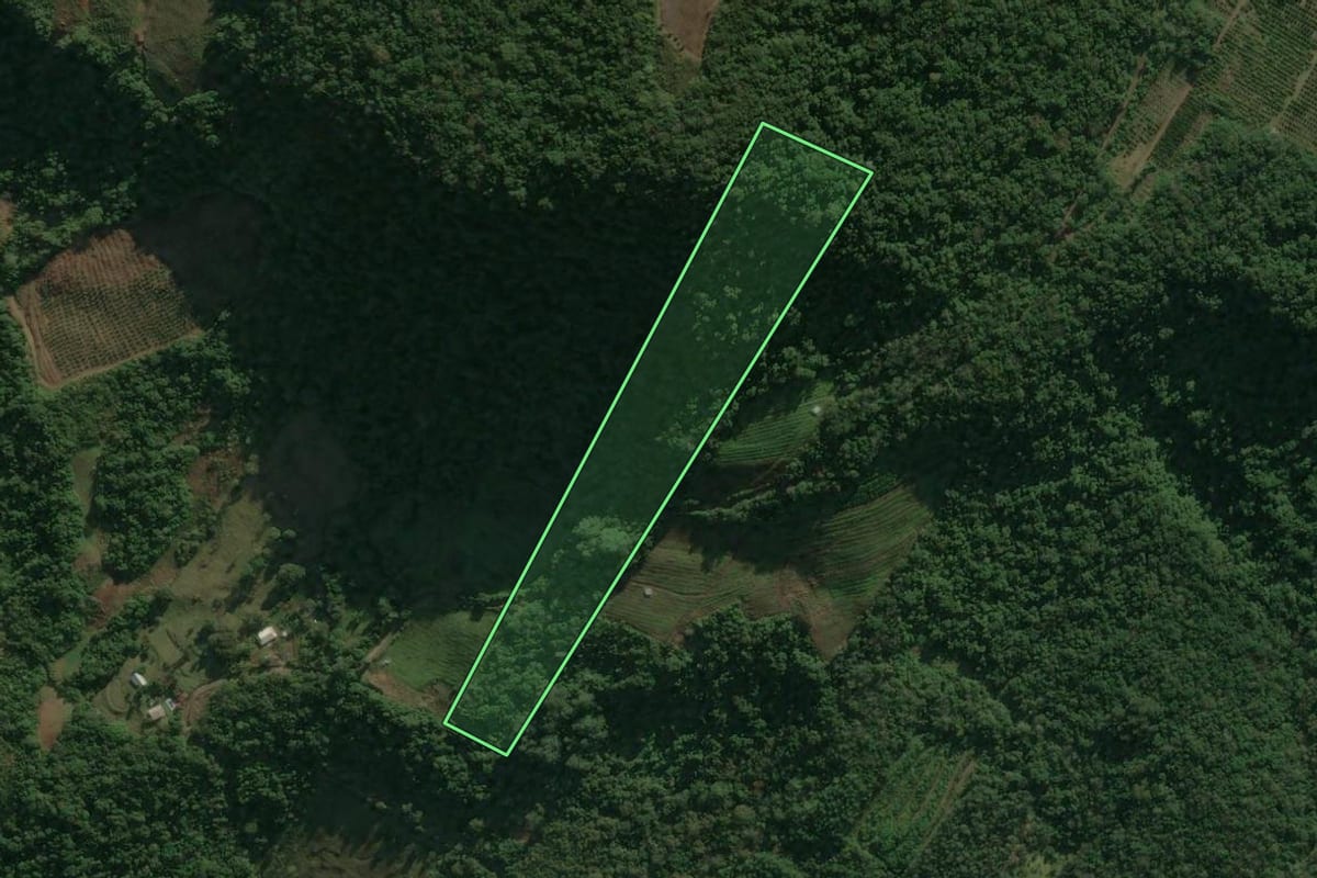 Imagem de satélite do imóvel rural em Caxias do Sul (RS), com o contorno declarado no CAR desenhado por cima.