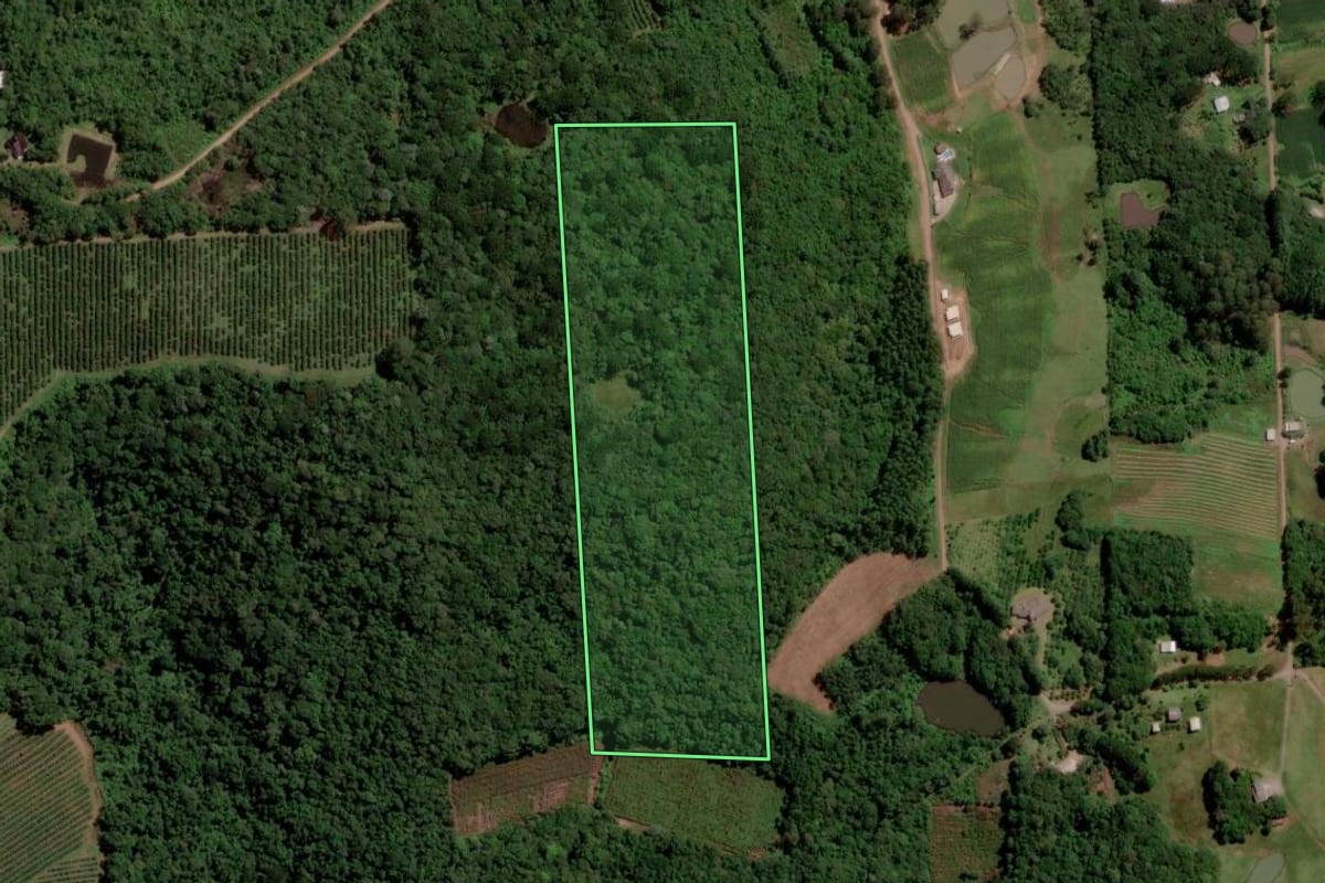 Imagem de satélite do imóvel rural em Caxias do Sul (RS), com o contorno declarado no CAR desenhado por cima.