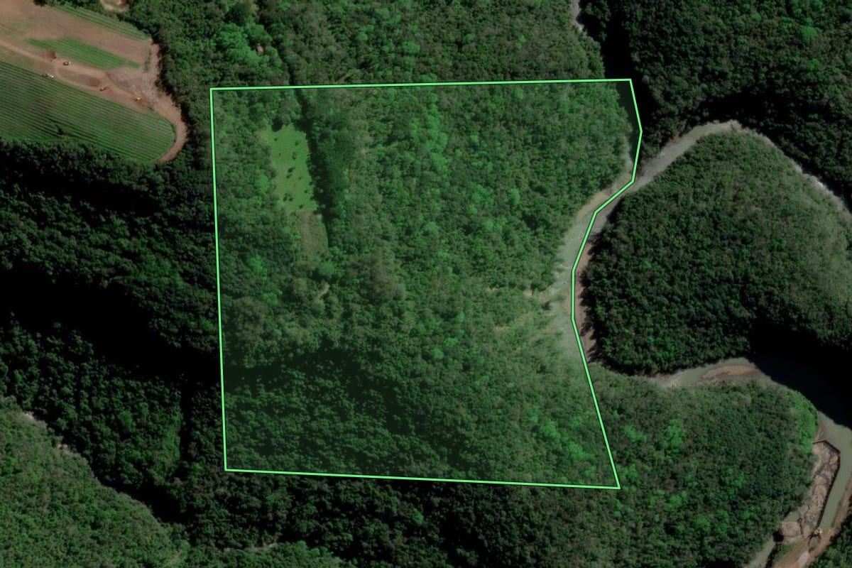 Imagem de satélite do imóvel rural em Caxias do Sul (RS), com o contorno declarado no CAR desenhado por cima.