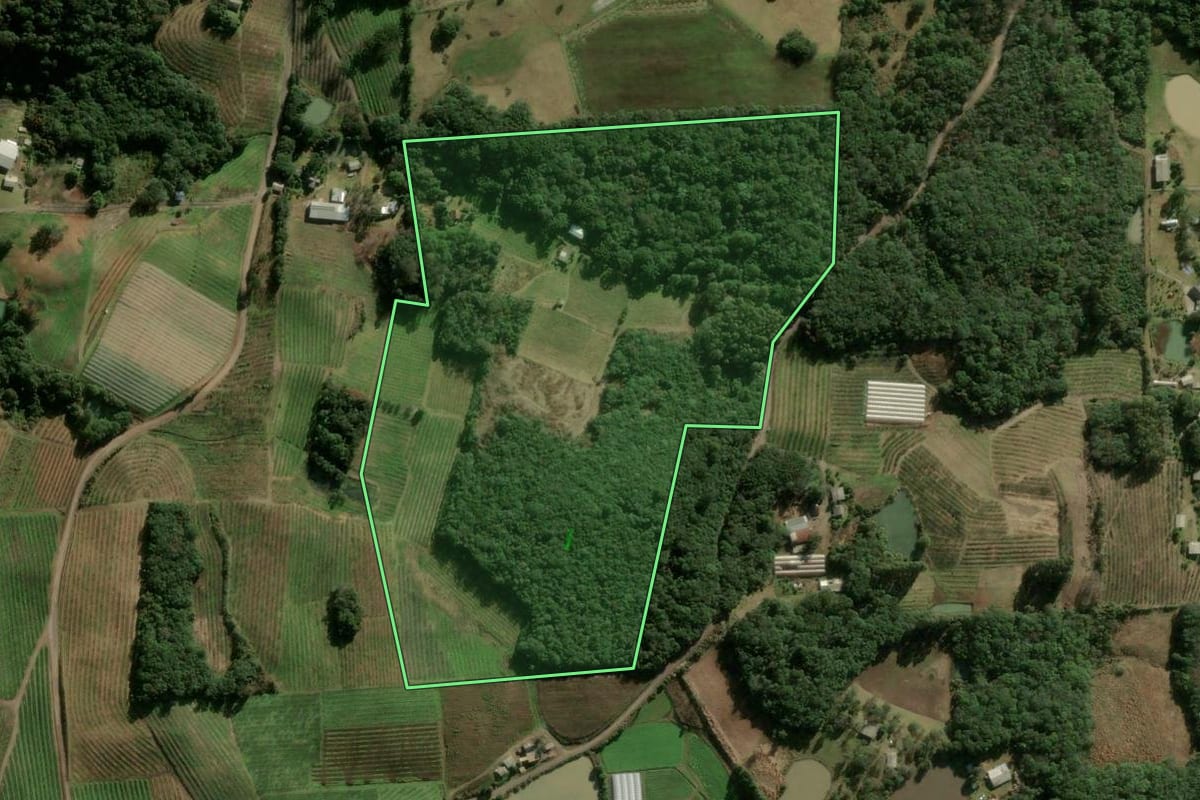 Imagem de satélite do imóvel rural em Caxias do Sul (RS), com o contorno declarado no CAR desenhado por cima.