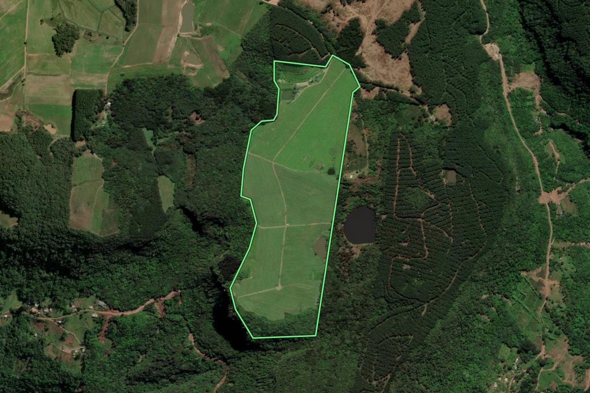 Imagem de satélite do imóvel rural em Caxias do Sul (RS), com o contorno declarado no CAR desenhado por cima.